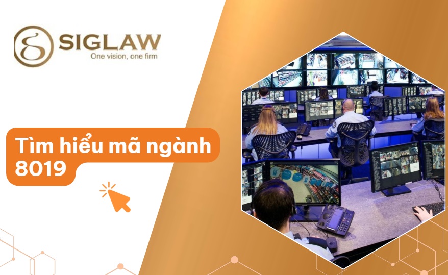Mã ngành 8019 Dịch vụ bảo đảm an toàn khác