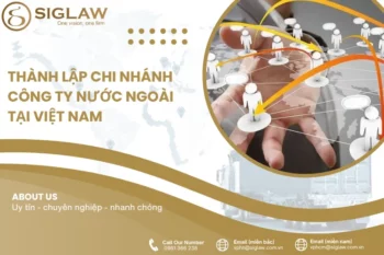 Thành lập chi nhánh công ty nước ngoài tại Việt Nam