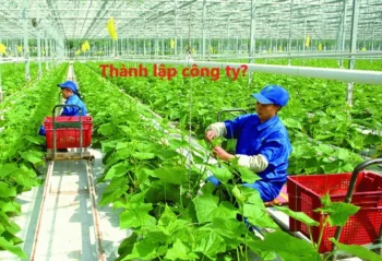 Thành lập công ty nông nghiệp: Điều kiện, hồ sơ & thủ tục