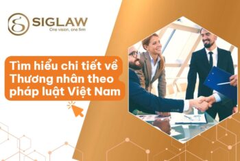 Thương nhân: Đặc điểm, Phân loại & Cách phân biệt [Mới 2026]