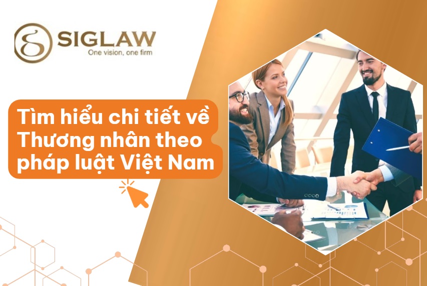 Thương nhân: Đặc điểm, Phân loại & Cách phân biệt [Mới 2026]