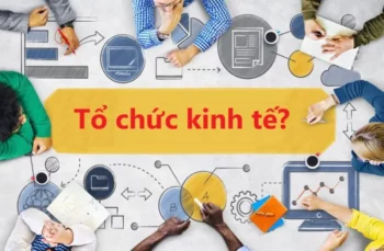 Tổ chức kinh tế là gì?