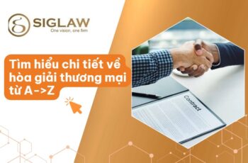 Hòa giải thương mại: Nguyên tắc, Hình thức, Quy trình & Ưu điểm [2026]