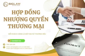 Hợp đồng nhượng quyền thương mại