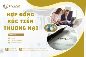 Hợp đồng xúc tiến thương mại