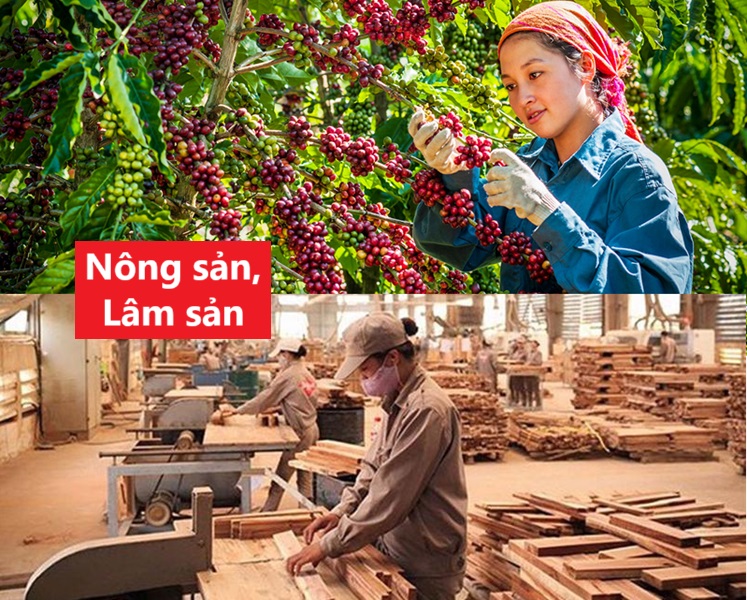 Thủ tục đăng ký kinh doanh nông sản, lâm sản như thế nào?