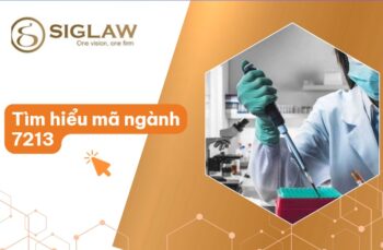 Mã ngành 7213 Nghiên cứu khoa học lĩnh vực Y, Dược