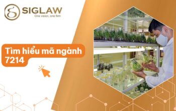 Mã ngành 7214 Nghiên cứu khoa học, phát triển công nghệ trong nông nghiệp