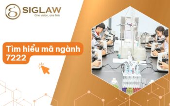ma nganh 7222 la gi Mã ngành 7222 Nghiên cứu khoa học và phát triển công nghệ