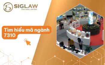 Mã ngành 7310 Các hoạt động liên quan Quảng cáo [Mới 2026]