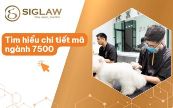 Mã ngành 7500 Hoạt động thú y [Cập nhật mới 2026]
