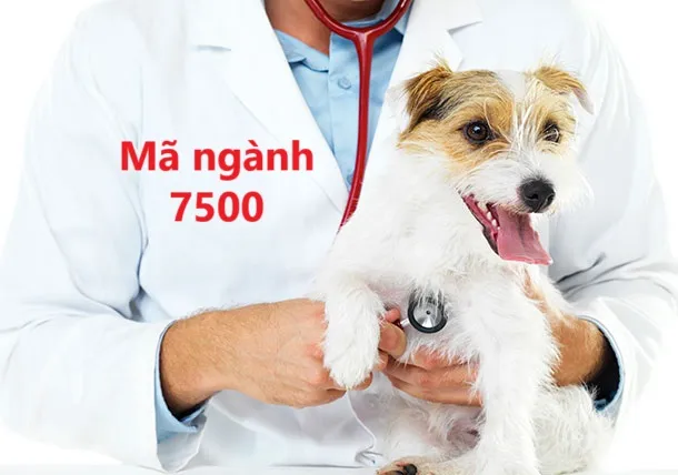 Mã ngành 7500: Hoạt động thú y