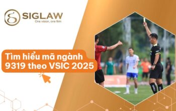Mã ngành 9319 Hoạt động thể thao khác
