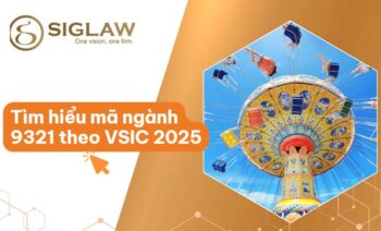Mã ngành 9321 Hoạt động của các công viên vui chơi, theo chủ đề
