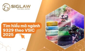 ma nganh 9329 la gi Mã ngành 9329 Hoạt động vui chơi giải trí khác
