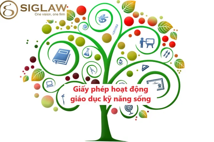 Điều kiện xin Giấy phép hoạt động giáo dục kỹ năng sống là gì?