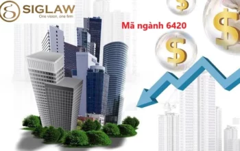 Mã ngành 6420: Hoạt động công ty nắm giữ tài sản