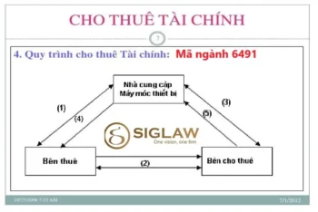 Mã ngành 6491: Hoạt động cho thuê tài chính