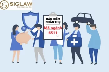 Kinh doanh mã ngành 6511 cần xin giấy phép gì?