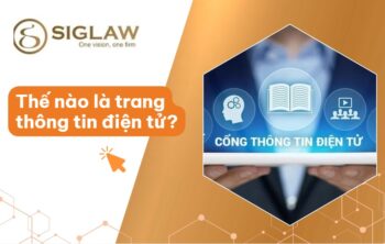 Trang thông tin điện tử: Phân loại & Cách Phân biệt [2026]