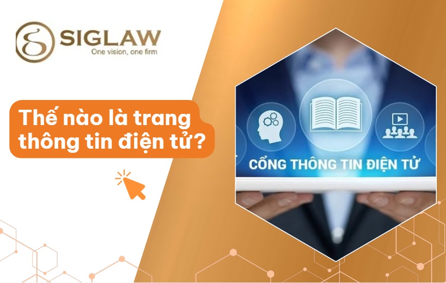 Trang thông tin điện tử: Phân loại & Cách Phân biệt [2026]