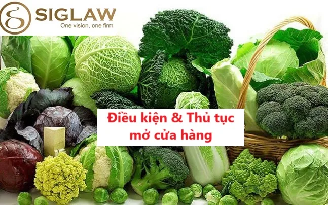 Điều kiện & Thủ tục mở cửa hàng kinh doanh rau sạch như thế nào?