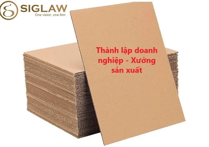 Thành lập công ty - Mở xưởng sản xuất thùng carton như thế nào?