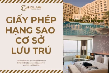 Giấy phép hạng sao cơ sở lưu trú du lịch