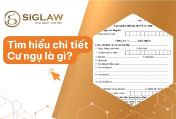Cư ngụ là gì? Cư ngụ là thường trú hay tạm trú & Phân biệt [2026]