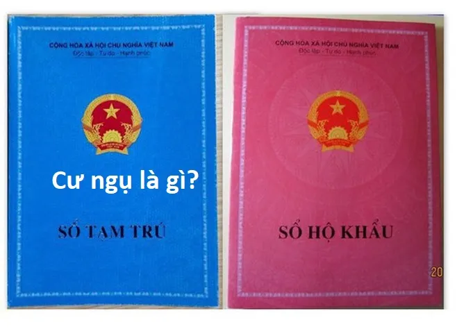 Cư ngụ là gì? Cư ngụ là thường trú hay tạm trú? Cư ngụ là gì? Cư ngụ là thường trú hay tạm trú?