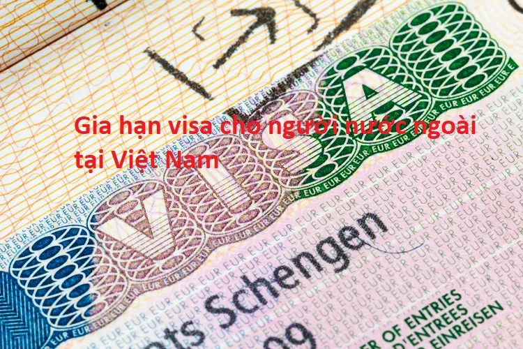 Gia hạn visa cho người nước ngoài khi chuyển công ty