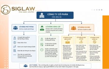 Cổ đông là gì? Quyền, nghĩa vụ và các loại cổ đông