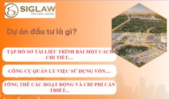 Dự án đầu tư là gì? Đặc điểm, Chu kì & Phân loại [Mới nhất 2026]
