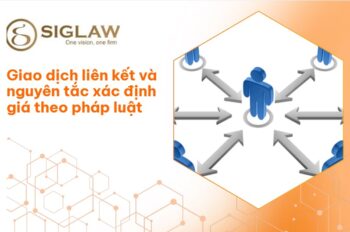 Giao dịch liên kết: Đặc điểm, phân loại và cách xác định giá
