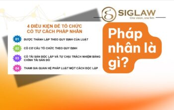 Pháp Nhân Là Gì? Đặc Điểm, Phân Loại Và Vai Trò Của Pháp Nhân 2026