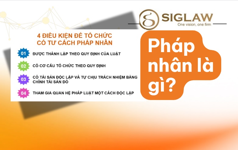 Pháp Nhân Là Gì? Đặc Điểm, Phân Loại Và Vai Trò Của Pháp Nhân 2026 Pháp Nhân Là Gì? Đặc Điểm, Phân Loại Và Vai Trò Của Pháp Nhân 2026