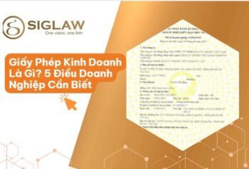 Giấy Phép Kinh Doanh Là Gì? Hồ Sơ, Thủ Tục Cấp Mới 2026