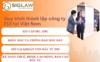 Các bước thành lập công ty FDI tại Việt Nam [Hướng dẫn 2026]