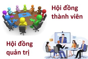 So sánh hội đồng thành viên và hội đồng quản trị