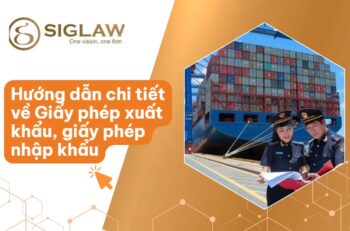 Giấy phép xuất nhập khẩu: Điều kiện, Hồ sơ & Thủ tục [2026]