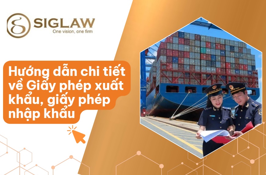 Giấy phép xuất nhập khẩu: Điều kiện, Hồ sơ & Thủ tục [2026]