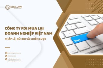 Công ty FDI mua lại doanh nghiệp Việt Nam