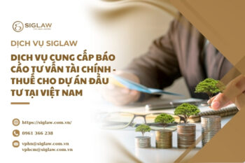 Báo cáo tư vấn tài chính - thuế cho dự án đầu tư tại Việt Nam