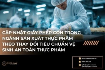 Giấy phép con trong ngành sản xuất thực phẩm