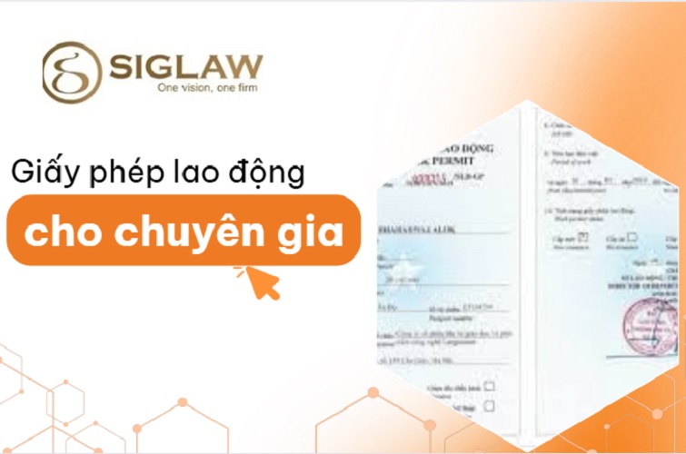 Giấy phép lao động cho chuyên gia