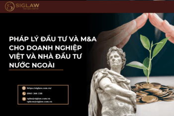 Pháp lý đầu tư và M&A cho doanh nghiệp Việt và NĐT NN