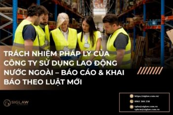 Trách nhiệm pháp lý của công ty sử dụng lao động nước ngoài tại Việt Nam