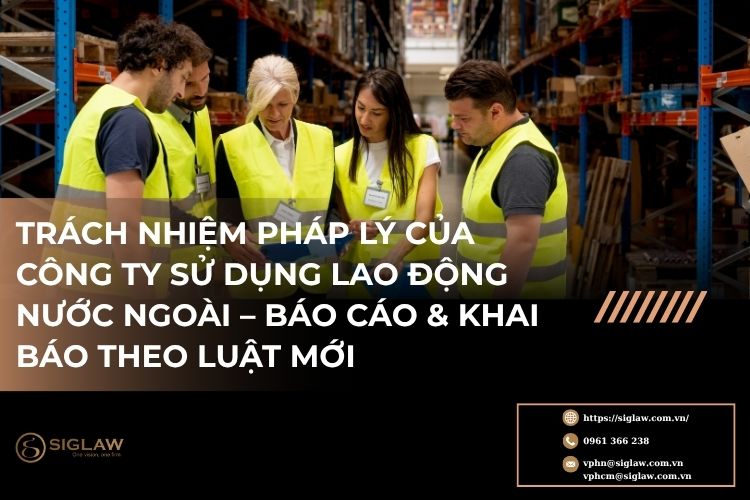 Trách nhiệm pháp lý của công ty sử dụng lao động nước ngoài tại Việt Nam Trách nhiệm pháp lý của công ty sử dụng lao động nước ngoài tại Việt Nam