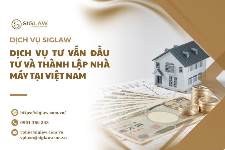 Dịch vụ tư vấn đầu tư và thành lập nhà máy tại Việt Nam