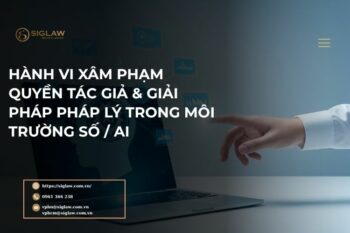 Xâm phạm quyền tác giả & giải pháp pháp lý